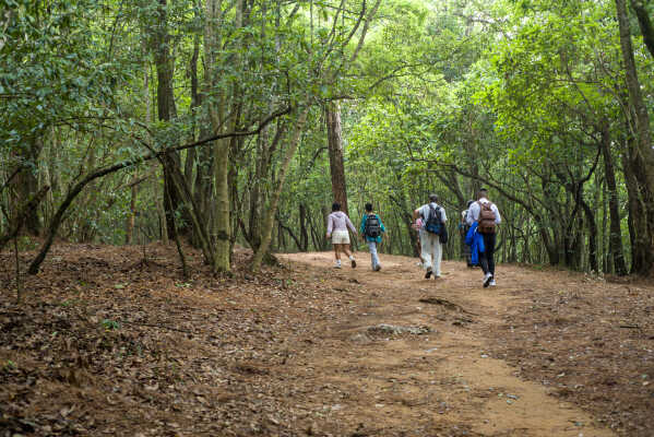 Jamacho Hike – Easy Day Hike Near Kathmandu with Stunning Valley & Quiet Green Forest Views