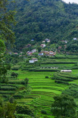 Balathali Village, Kavrepalanchok, Nepal