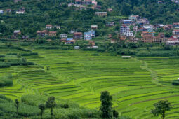 Balathali Village, Kavrepalanchok, Nepal